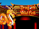 Игровой автомат Dragon's Wild Fire